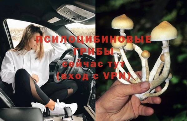 мяу мяу мука Алексеевка