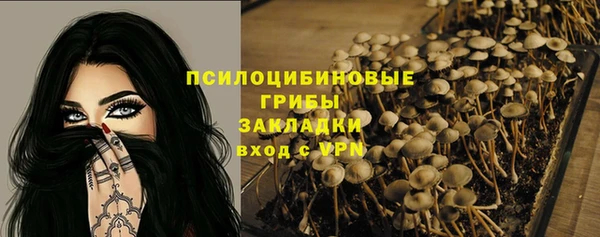 амф Абдулино