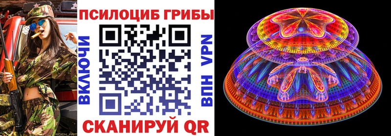 Псилоцибиновые грибы Psilocybe  как найти закладки  Стерлитамак 