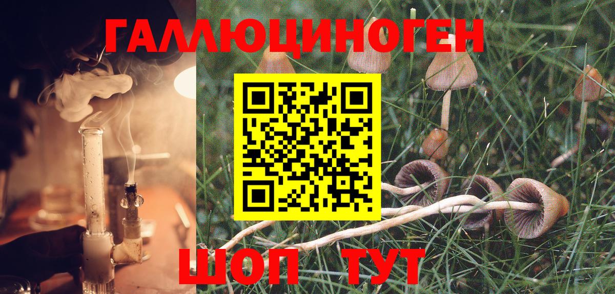 Псилоцибиновые грибы Psilocybe  Вход с VPN  Стерлитамак 