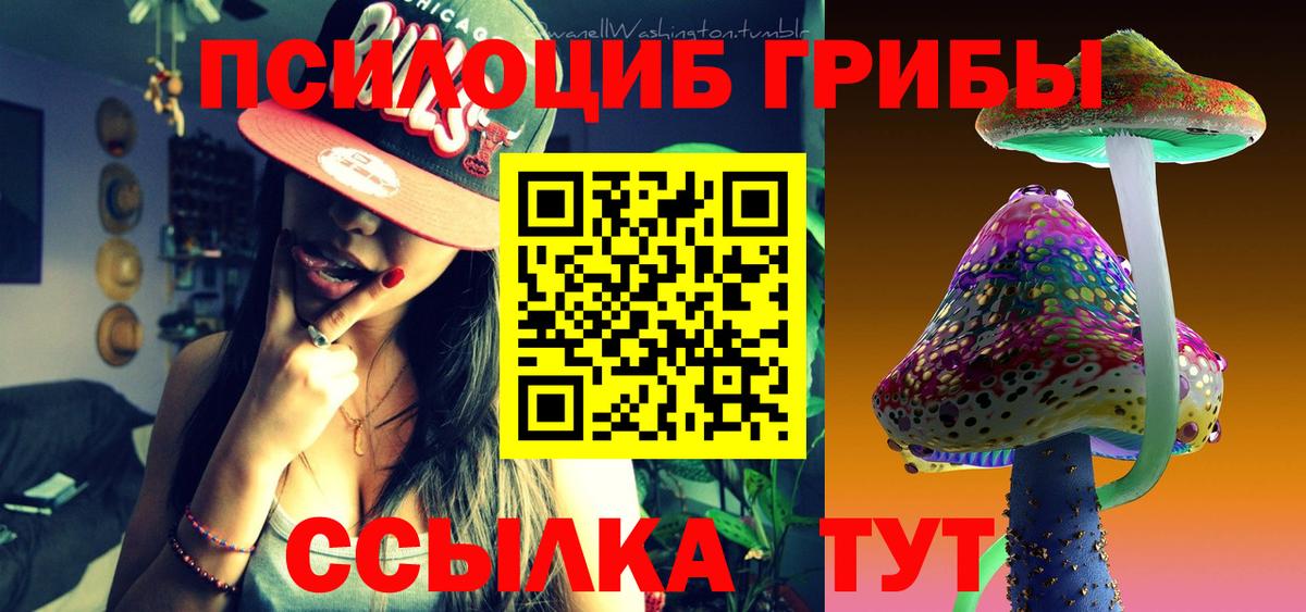 Псилоцибиновые грибы Стерлитамак