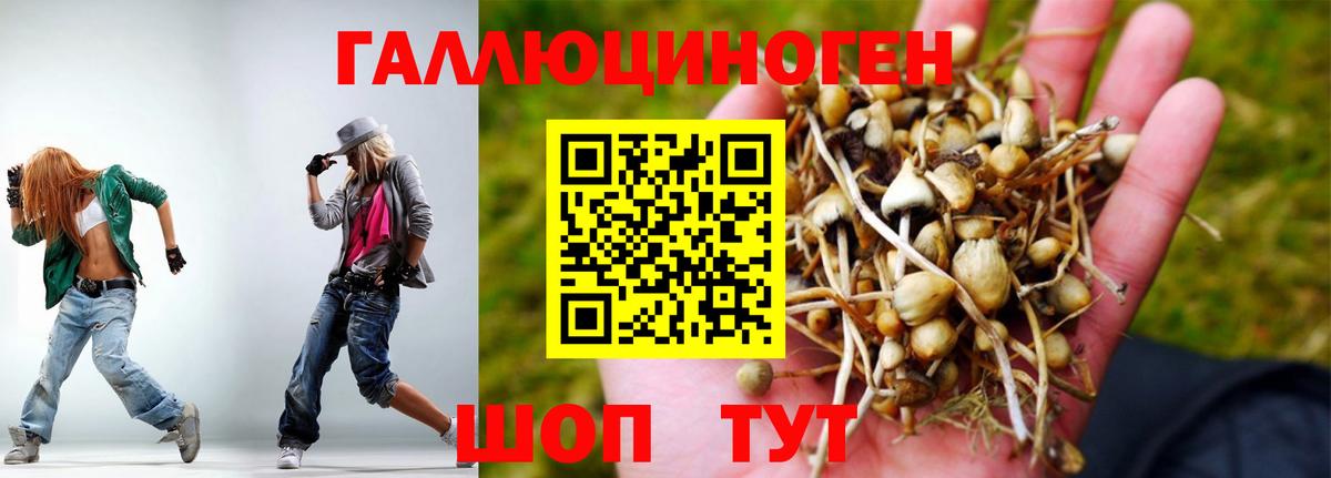 Псилоцибиновые грибы ЛСД Стерлитамак