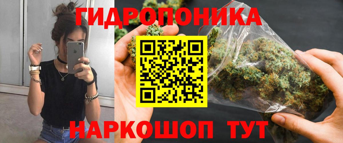 Стерлитамак  Конопля тримм  Вход с VPN  Бошки Шишки индика  Шишки марихуана план 